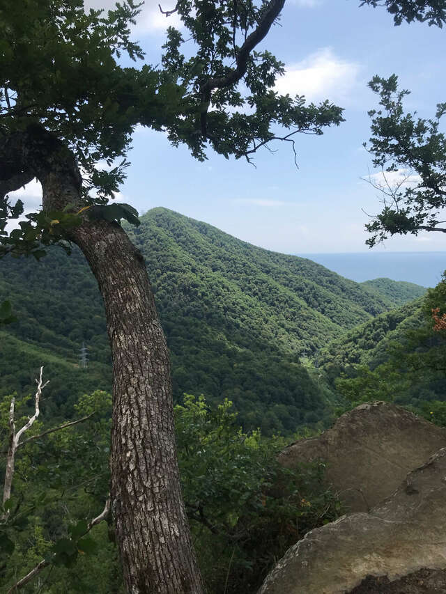 Гостевой дом Kiparizzz Лазаревское-51